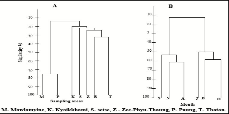International Marine Science Journal-flatfishes