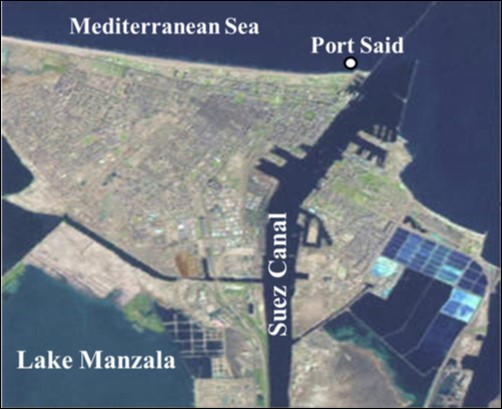 International Marine Science Journal-Rhopilema nomadica