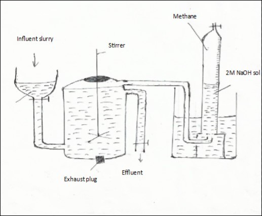 Journal of New Developments in Chemistry-Substrate