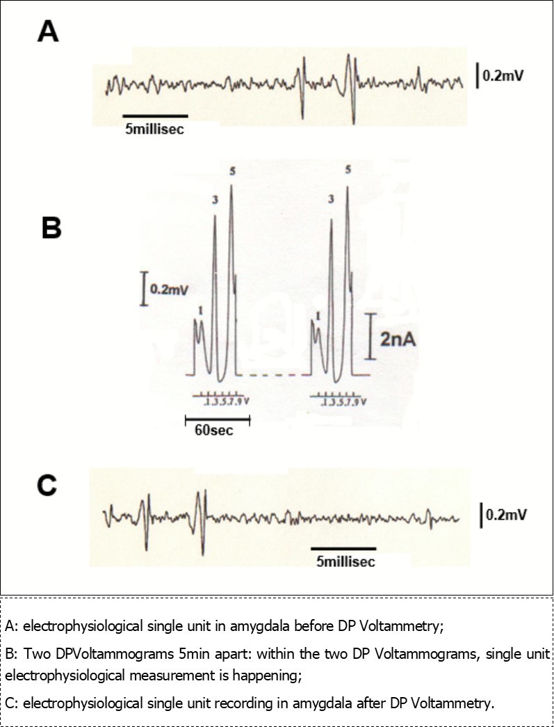 Journal of Human Psychology-Cholecystokinin