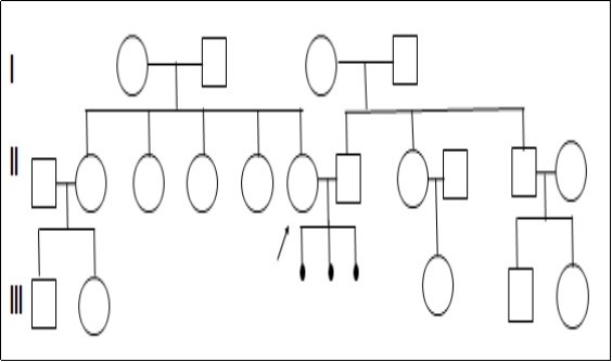 Journal of family mediciene-Recurrent pregnancy loss