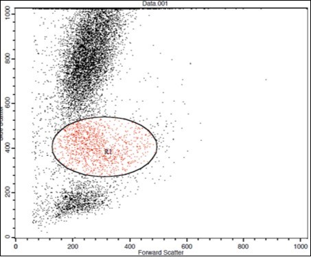 Journal of Hematalogy and Oncology Research-TEM