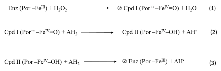 International Journal of Nutrition-Coleus forskohlii