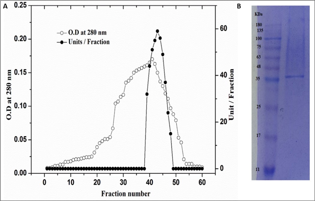 International Journal of Nutrition-Coleus forskohlii