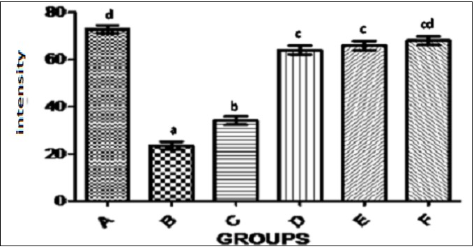 International Journal of Human Anatomy-Ocimum gratissium