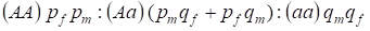 Hardy-Weinberg’s law