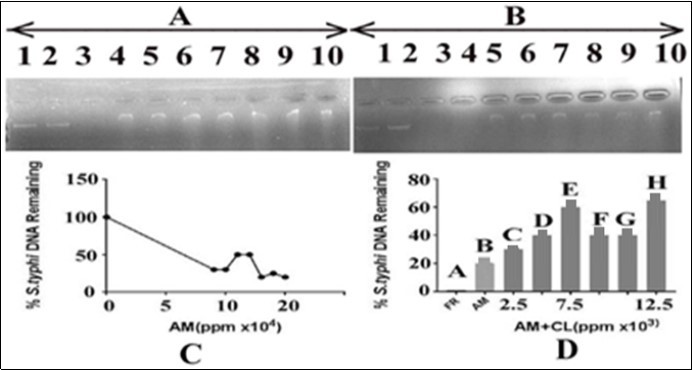 Journal of DNA And RNA Research-DNA damage