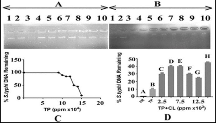 Journal of DNA And RNA Research-DNA damage
