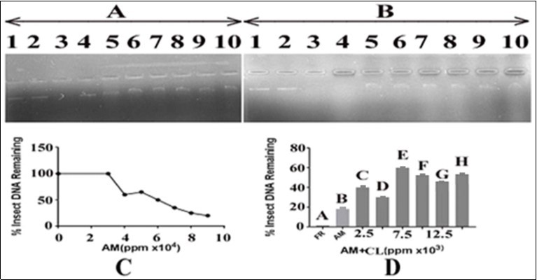 Journal of DNA And RNA Research-DNA damage