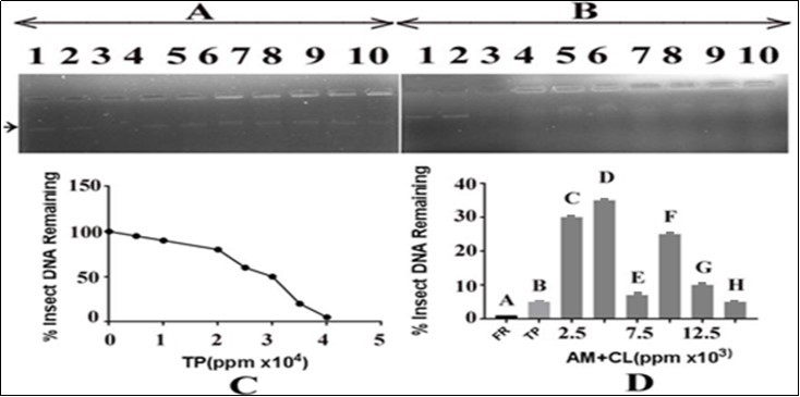 Journal of DNA And RNA Research-DNA damage