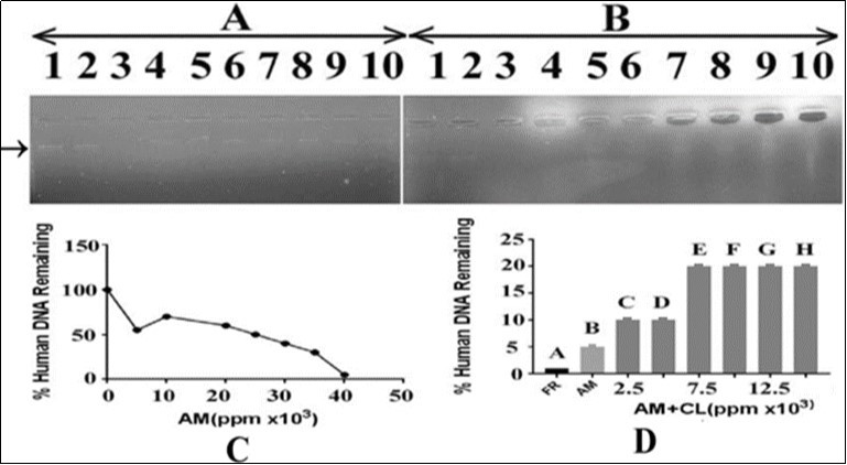 Journal of DNA And RNA Research-DNA damage