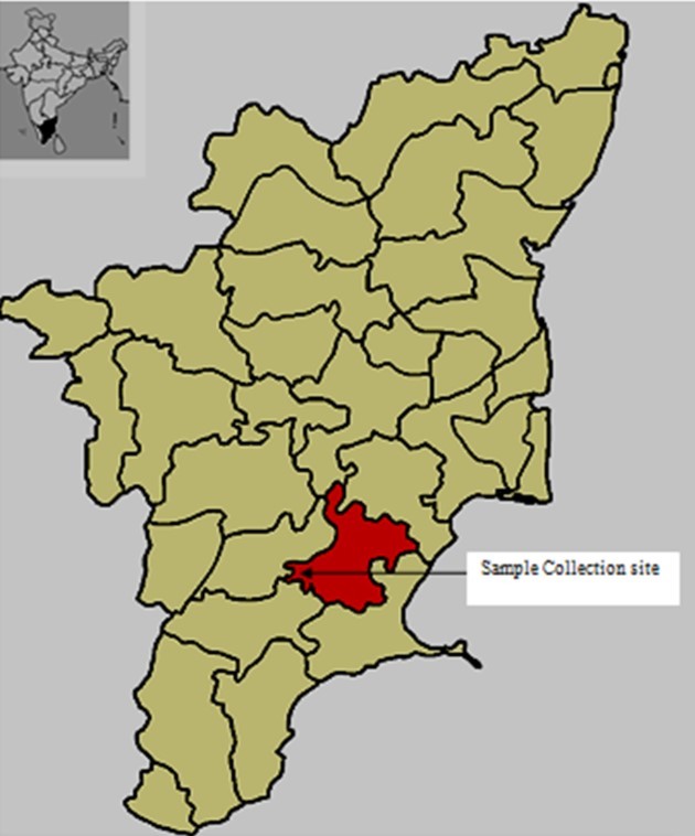 Location map of study area showing soil samples collection site in Tiruppuvanam, Sivaganga District, Tamil Nadu, India (Source: Google Maps)