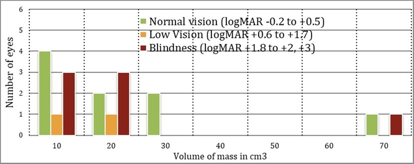 Journal of Ophthalmic Science-Chiasmal lesions