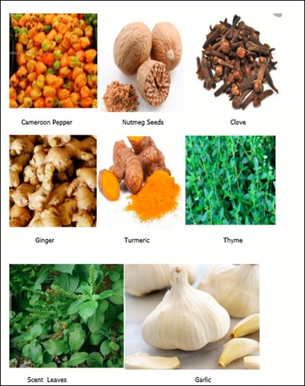 International Journal of Nutrition-Spices