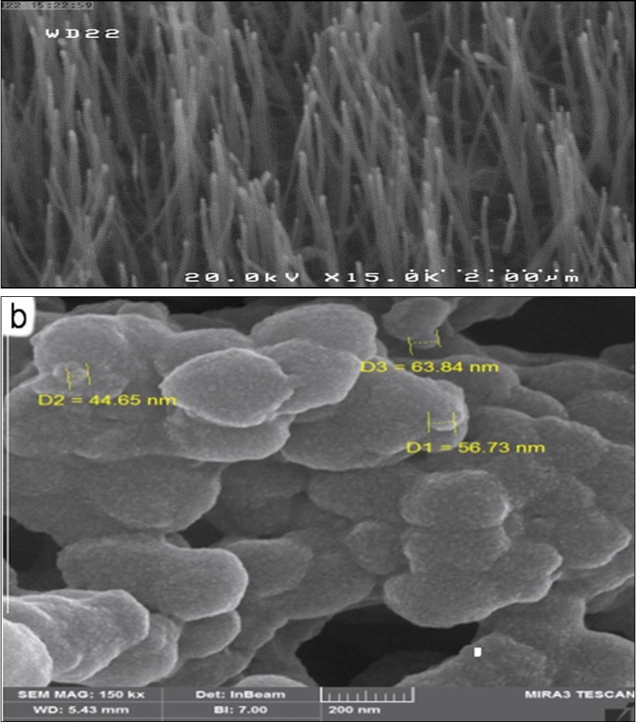 FESEM image of the a) CNF and b) CNF-PAA-PPy