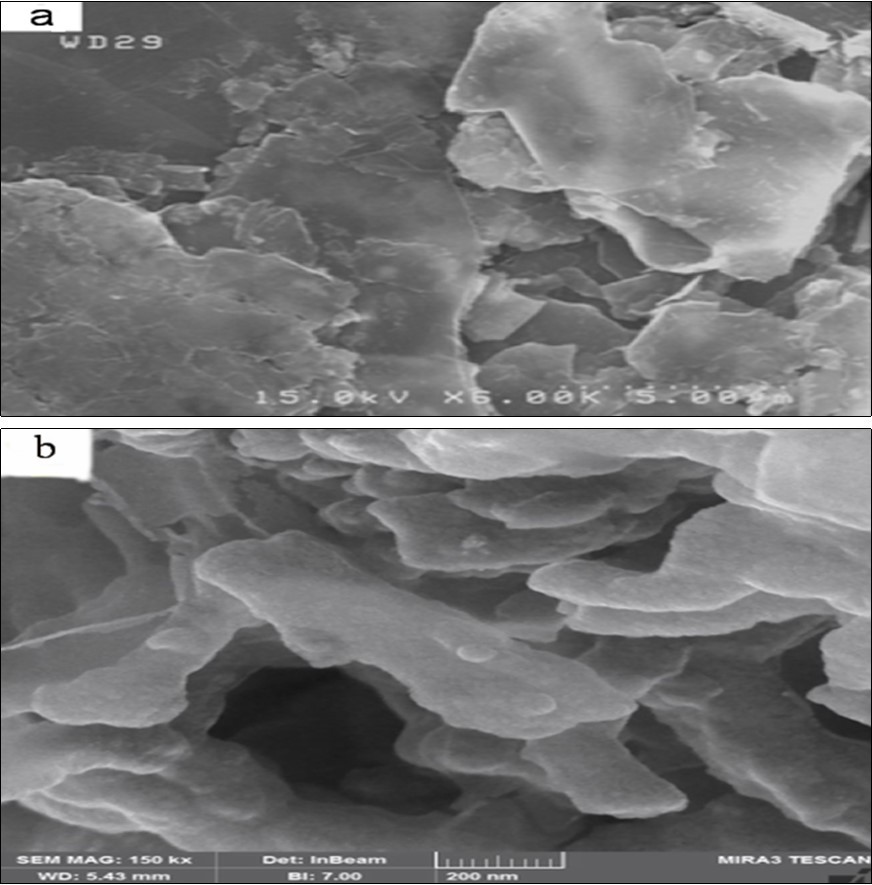 FESEM images of the a) GNF and b) GNF-PAA-PPy