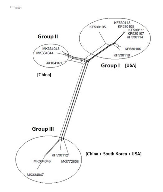 International Journal of Coronaviruses-evolution