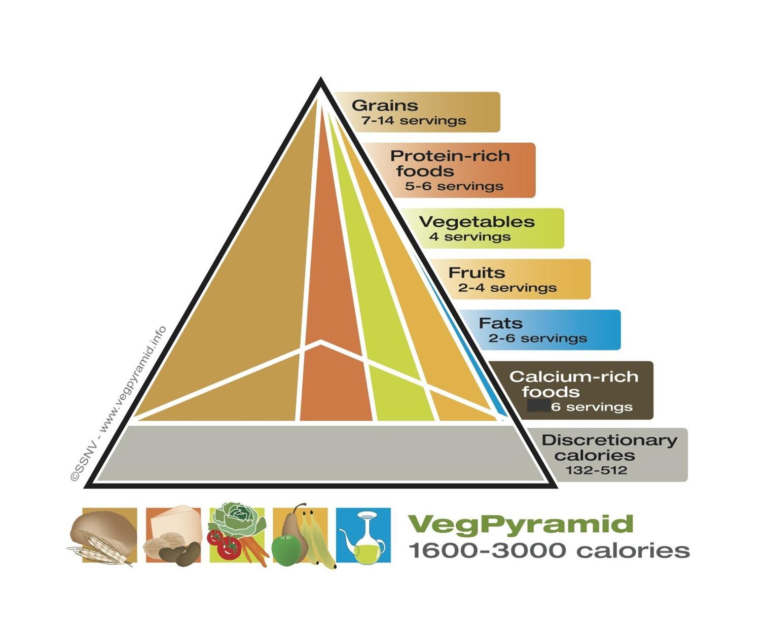 International Journal of Nutrition-vegetarian nutrition