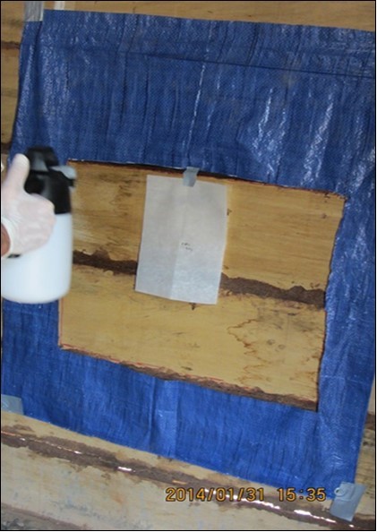 Journal of Public Health International-Intra-domicile residual spray IRS