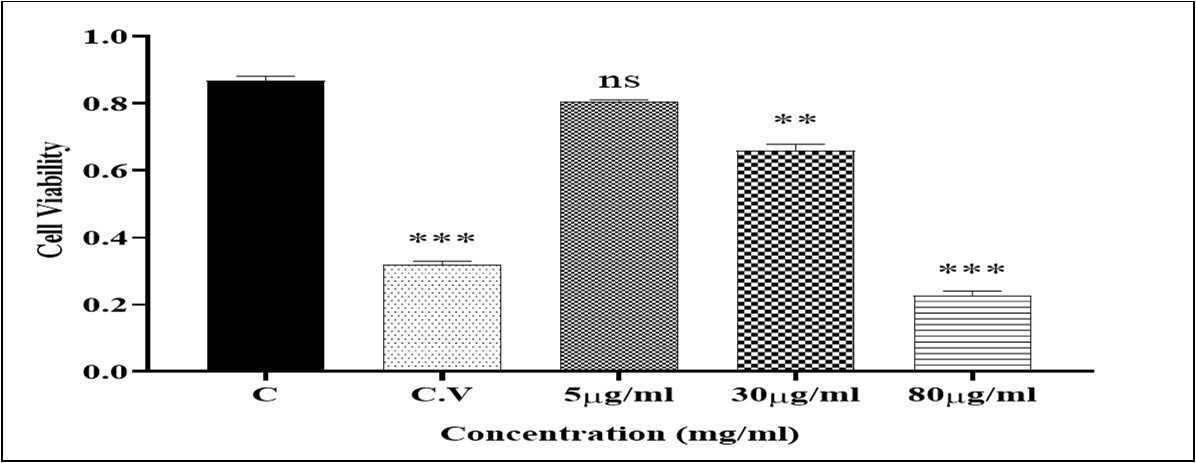 Journal of Antioxidant Activity-Ozone/oxygen therapy