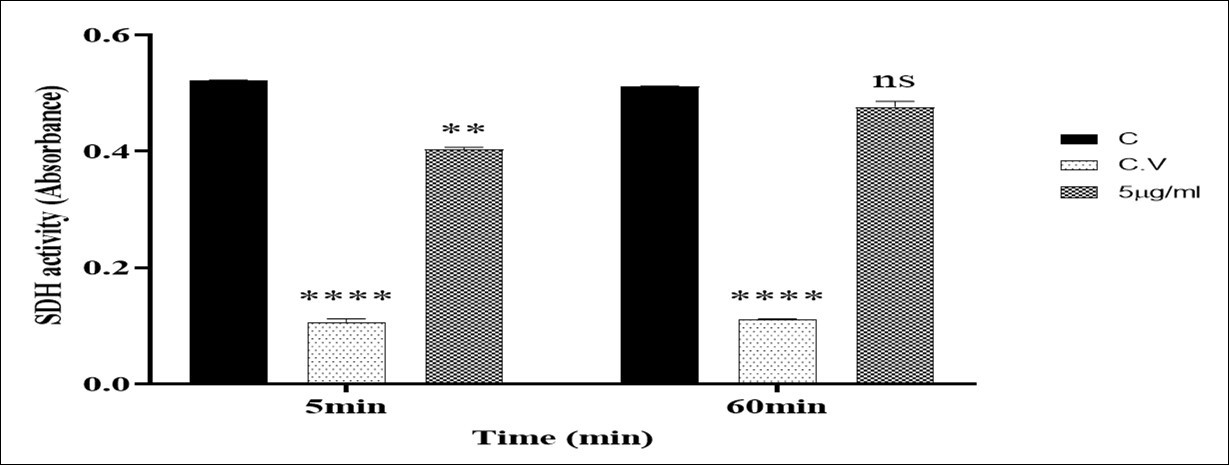 Journal of Antioxidant Activity-Ozone/oxygen therapy