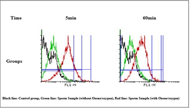 Journal of Antioxidant Activity-Ozone/oxygen therapy