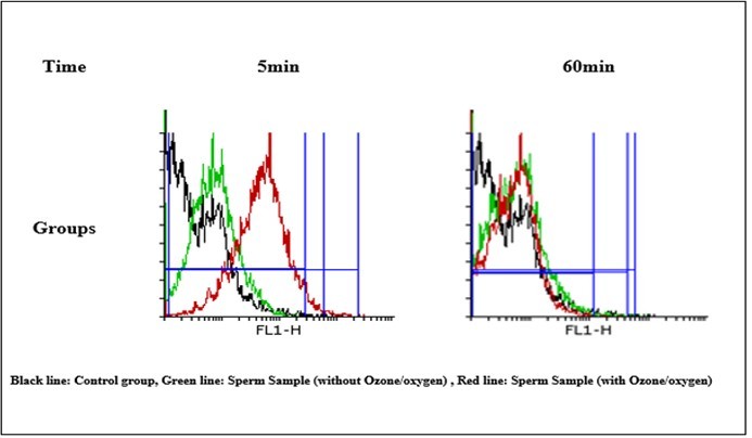 Journal of Antioxidant Activity-Ozone/oxygen therapy