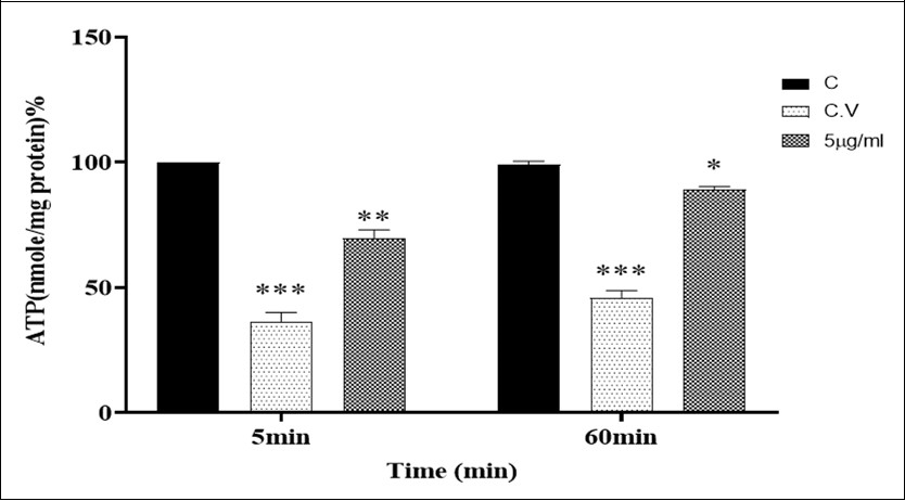 Journal of Antioxidant Activity-Ozone/oxygen therapy