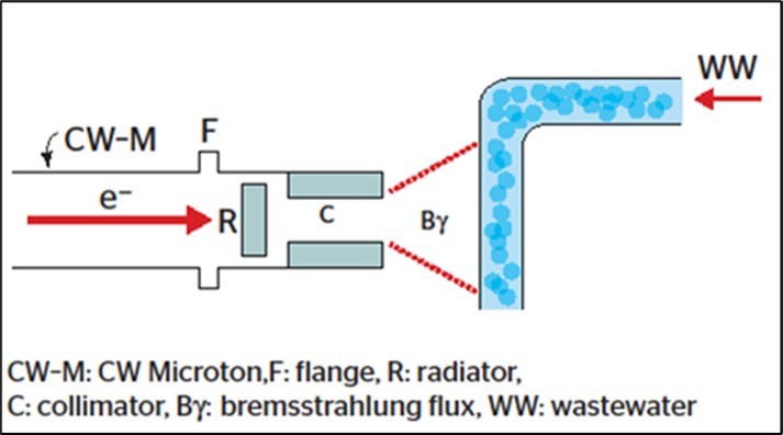 Journal of Experimental and Clinical Toxicology-Microcystin