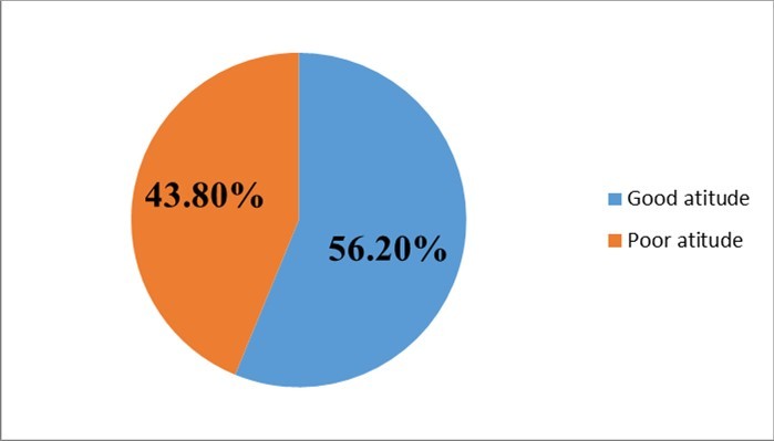 Journal of Cervical Cancer-Cervical cancer