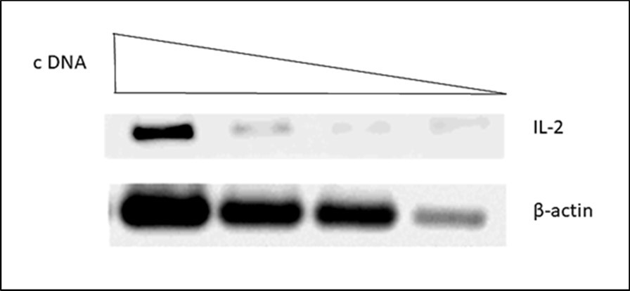 Journal of Veterinary Healthcare-Tuberculosis