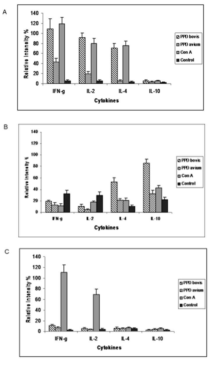 Journal of Veterinary Healthcare-Tuberculosis