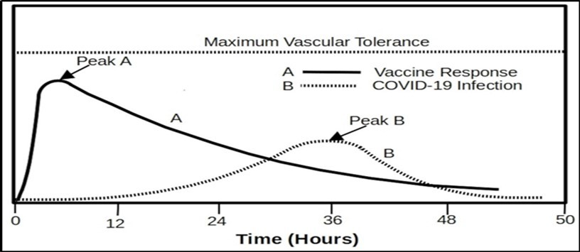 International Journal of Coronaviruses-mRNA vaccines