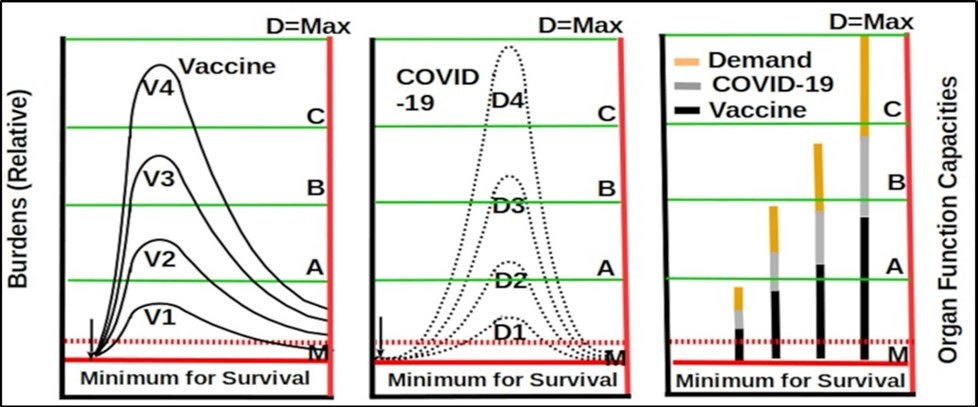 International Journal of Coronaviruses-mRNA vaccines