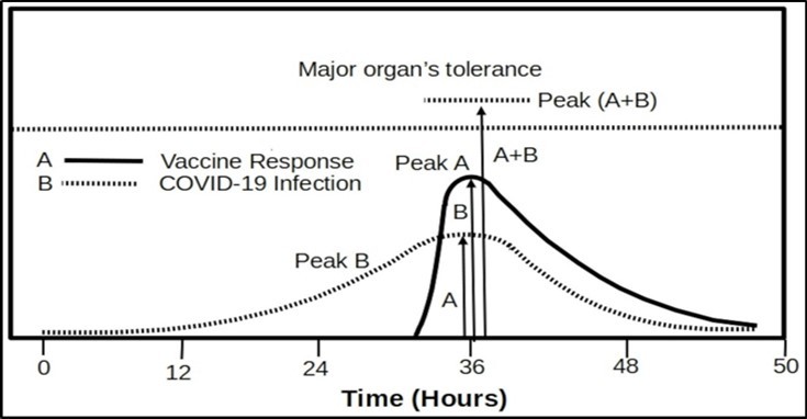 International Journal of Coronaviruses-mRNA vaccines