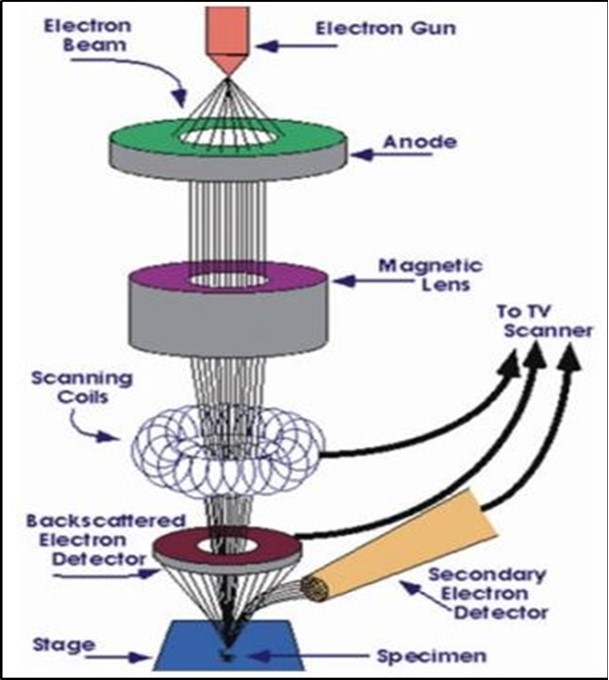 Journal of 3D Printing and Applications-Physical Methods