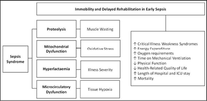 Journal of Human Health Research-Sepsis