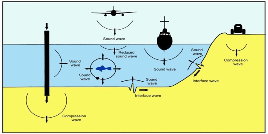 International Marine Science Journal-aquatic animals