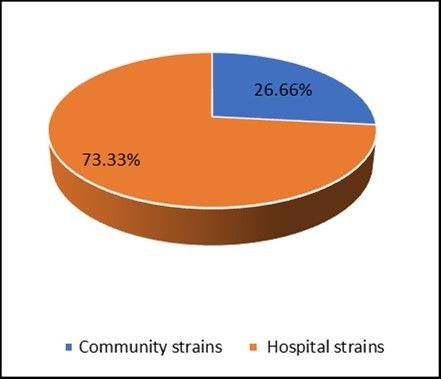 International Journal of Clinical Microbiology-Staphylococci