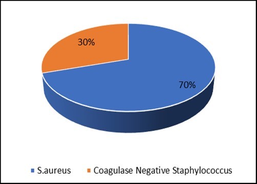 International Journal of Clinical Microbiology-Staphylococci