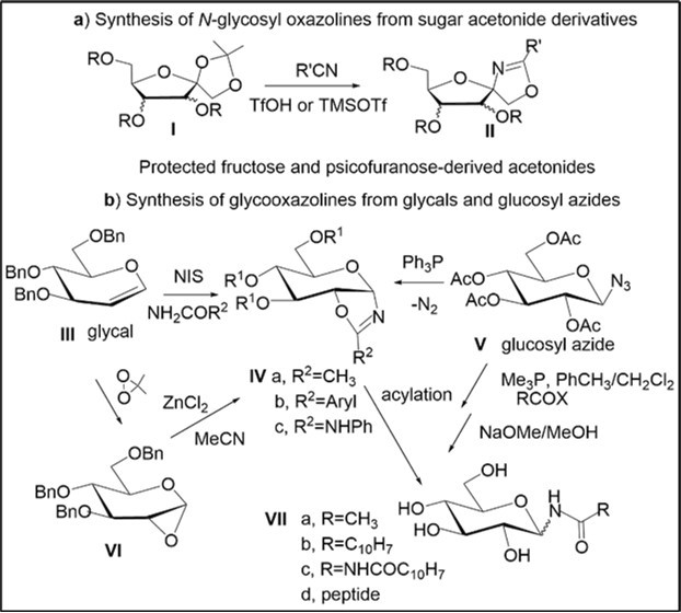 N-Glycosyl Oxazolines