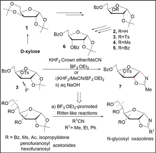 N-Glycosyl Oxazolines