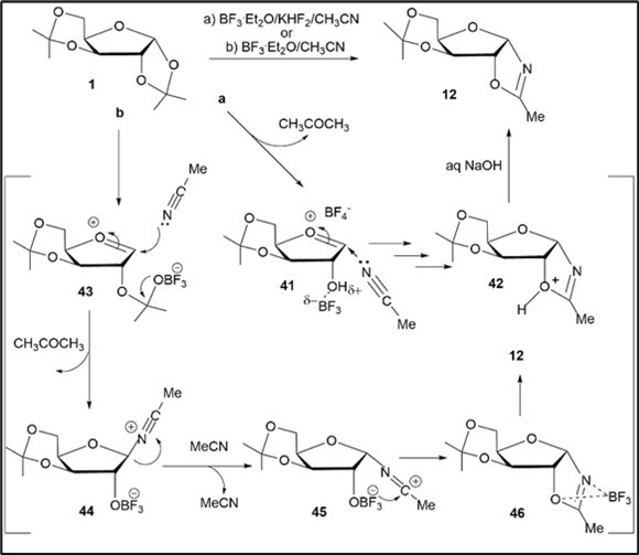 N-Glycosyl Oxazolines