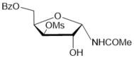 Journal of New Developments in Chemistry - N-glycosyl oxazolines