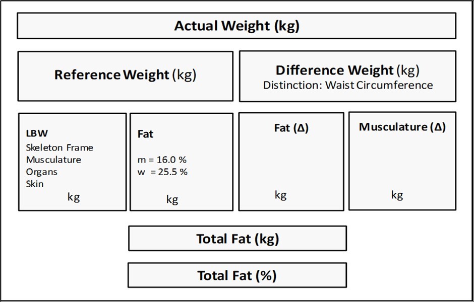 Journal of Model Based Research - Skeletal Muscle Mass