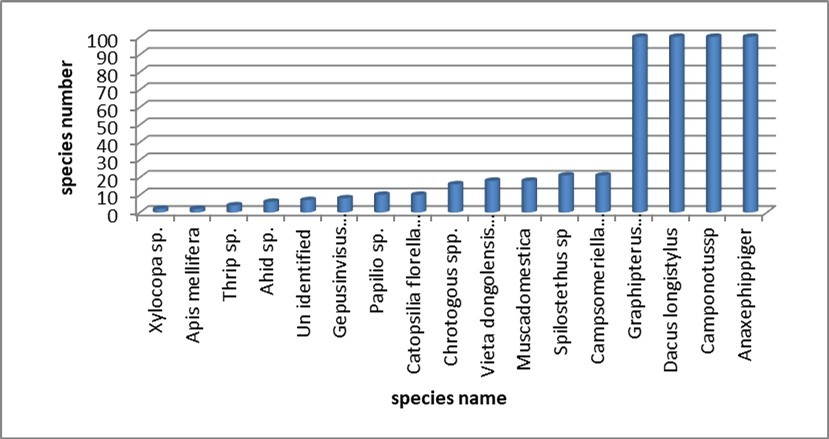 International Journal of Entomology - Insect Species