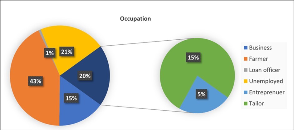 International Journal of Nutrition - Dietary diversity