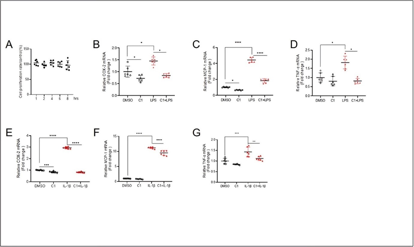 International Journal of Inflammation Research - Transcription Factor EB