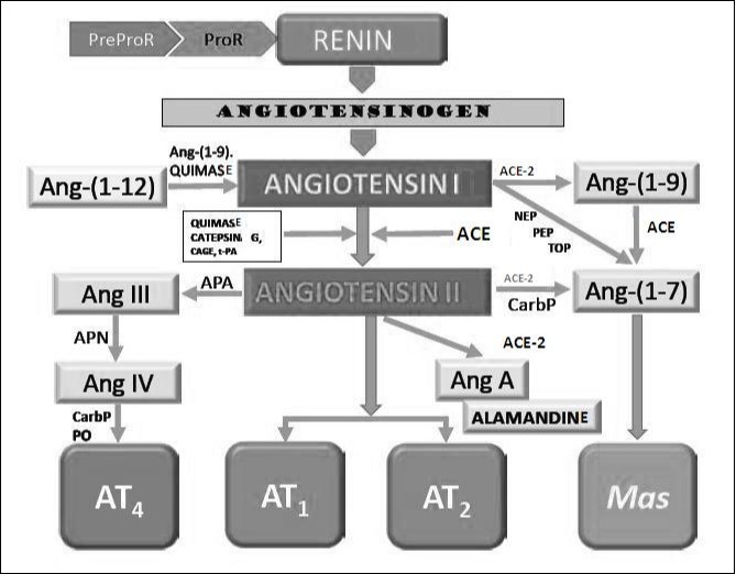 Journal of Hypertension and Cardiology-Heart Failure