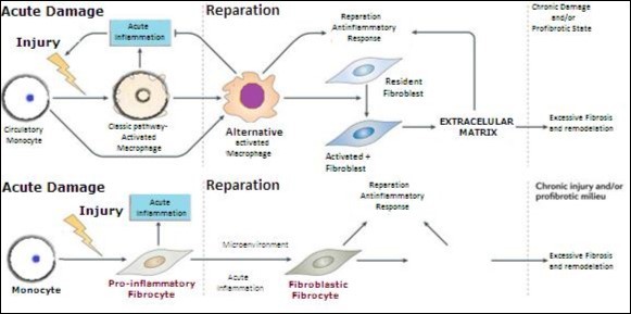 Journal of Hypertension and Cardiology-Heart Failure